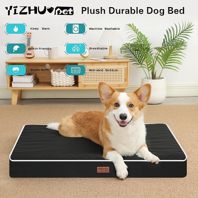 Orthopedic Dog Bed,Medium L Sized Dog 36''X27''x3'' Soft Waterproof Egg Foam Pet Crate Beds Mat or Kennel Pads with Removable Washable Cover,Non-Slip Bottom,Black