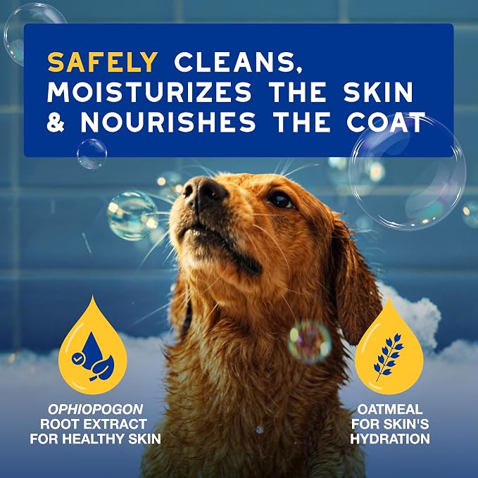 DOUXO SPA Oatmeal Dog Shampoo, 16 fl oz | Moisturizes the Skin, Leaves the Coat Soft and Radiant, Ultra-Safe