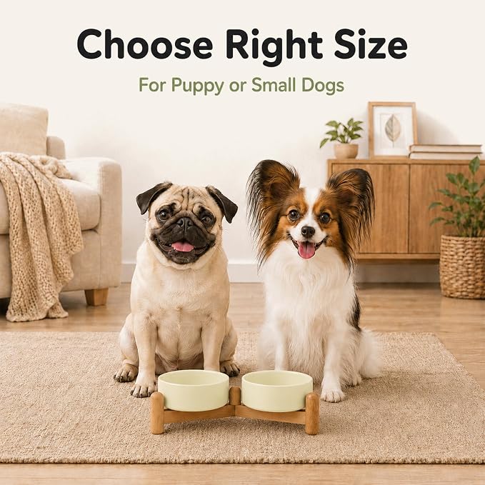 Havniva Ceramic Dog Bowls Elevated, Raised Dog Food Bowl for Puppies | 5.1” Elevated Dog Bowls, Non-Slip Wood Stand, Dog Food and Water Bowl Set, Dog Feeding Dish, Large Capacity Pet Water Bowl