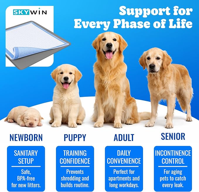 Skywin TidyFriend Dog Pee Pad Holder - Fits Up to 24” x 24” Pee Pad Holder for Dogs - Stable Grip, Soft Edges, Quick Wipe Silicone Surface Dog Pad Holder for Indoor Flooring Protection (Dark Grey)