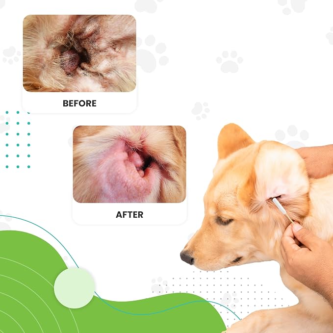 Dog Ear Swabs, Large Cotton Swabs, Double Sided, Pet Ear Cleaner Tool, 50pc | Advanced Dog Ear Cleaning, Reduces Itching, Odor & Wax, Ear Drops for Dogs, Golden Doodle & Poodle Ear Flush, Puppy Essential