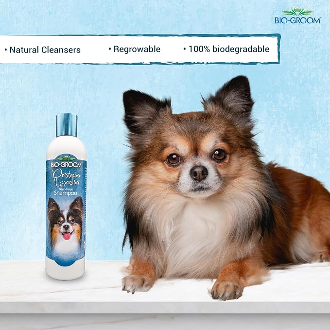 Bio-Groom Protein Lanolin Dog Shampoo - Tear-Free Pet Shampoo, Dog Bathing Supplies, Puppy Wash, Cat & Dog Grooming Supplies, Cruelty-Free, Made in USA, Tearless Dog Products - 12 fl oz 1-Pack