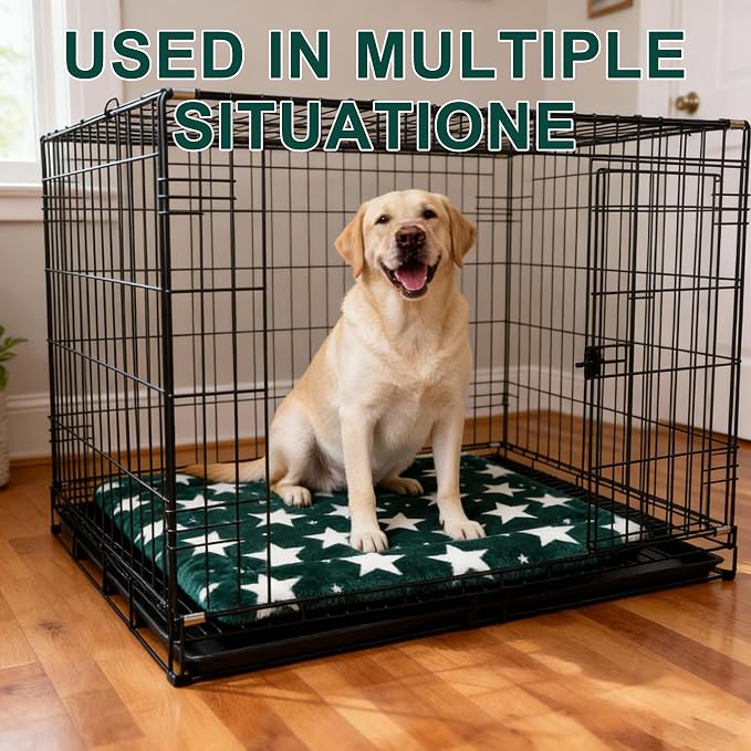 Dog Bed Mat – Soft & Comfortable Dog Kennel Pad for Crate – Durable Crate Bed & Mat for Dogs & Cats – Ideal for Crate, Kennel, and Home Use (Big&Little Stars Green, L(35"*23"*1.5"))