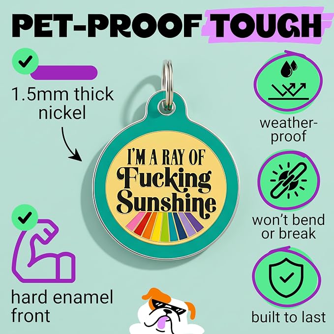 Bad Tags Personalized Dog and Cat ID Tags in 25+ Designs and 2 Sizes - 5 Lines of Custom Engraved Text - Funny Cute Personalized Pet Tags (I'm A Ray of F*cking Sunshine - Teal, Small (1 inch))