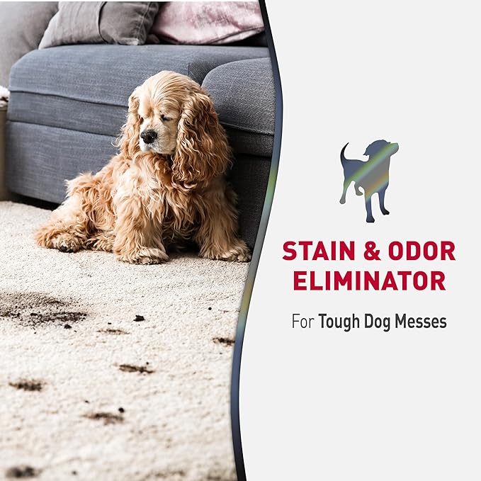 Nature's Miracle Advanced Dog Stain & Odor Eliminator, Severe Mess, 32 oz | Enzymatic Cleaner Eliminates the Toughest Dog Messes, For Use on Multiple Surfaces, Safe For Pets and Home*, Fresh Scent