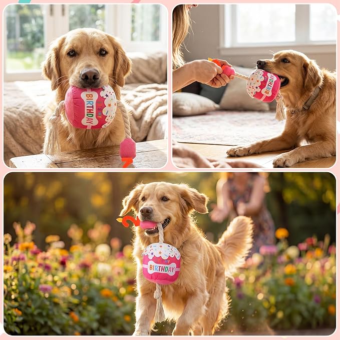 Dansydaisy Dog Birthday Cake Toy Squeaky Plush Toy for Girl Boy Gifts, Chew Accessories for Dog Birthday Party Decor Favor for Large, Medium and Small Dogs(2nd,Rose Pink)