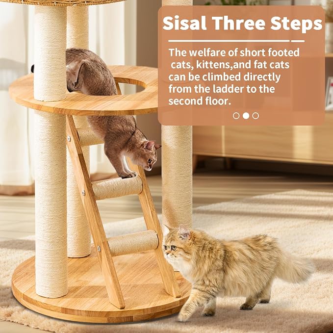 SHODMI Modern Cat Tree Tower for Large Indoor Cats, 53-Inch, 2 Basket Beds | 8 cm thick sisal scratching posts, 20.5-inch wide stable base, rubberwood frame, sisal stairs, plush & cooling mats