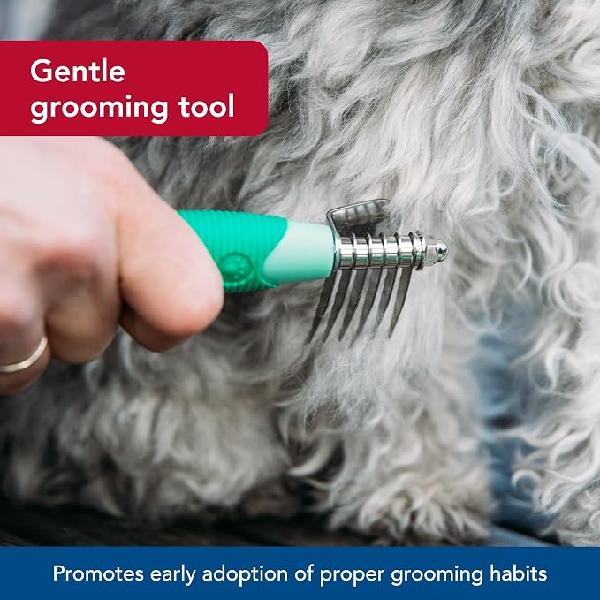 Coastal Pet Li'l Pals Stainless Steel De-Matting Comb - Easy-Grip Handle for Pet Grooming Small Dogs