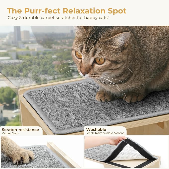 Pecute 2-in-1 Cat Window Perch & Wall Shelves, Cat Hammock Window 16"x10" | Solid Wood Frame, Strong Suction Cups, Washable Cover Mat, Window Bed for Kitten, Indoor Cats, Window Seat for Birds Watching