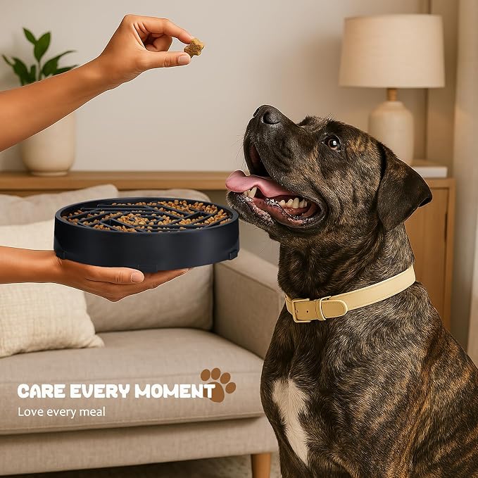 WHIPPY Slow Feeder Dog Bowl, Puzzle Maze Design to Slow Down Eating, 3-Cup Capacity, Anti-Gulping Food Bowl for Medium & Large Dogs,Gray