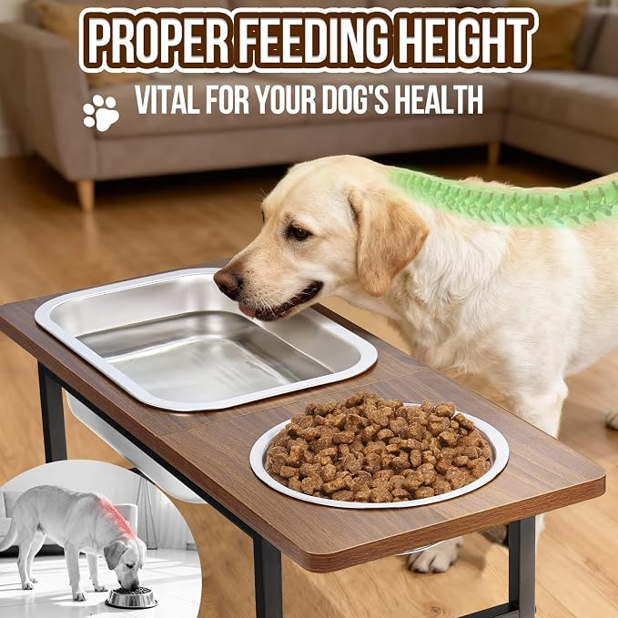 Elevated Dog Bowls for Large and X-Large Breed, 2 Stainless Steel Bowls | 2 Adjustable Heights 14" or 12" Raised Dog Water and Food Bowl with Metal Stand (Upgraded Extra-large Water Bowl)