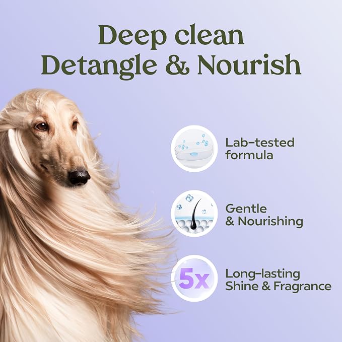 PAWFUME Dog Shedding Shampoo and Conditioner, Royal Lavender, 2-Pack | Probiotic pH-balanced deep-cleaning formula nourishes and detangles silky coats, salon-quality Shedding Shampoo for Dogs