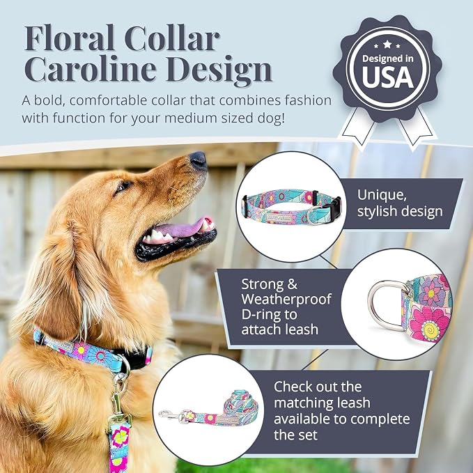 Lucky Love Dog Collars, Cute Small Dog Collars for Female Dogs, Part of Purchase Donated to Rescue, Caroline, Small