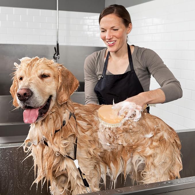 petour Dog Bath Brush Pet Shampoo Handle Bath Brush with Massage Points Dog Grooming/Washing/Massaging Wooden Brush Natural Bristle Dog Brush Removal Loos Hair for Cats Dogs, Beige