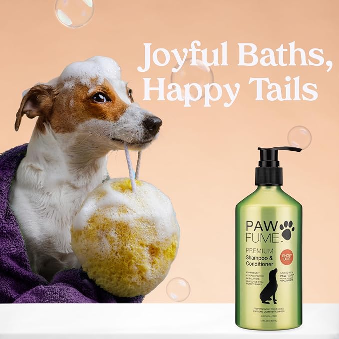 PAWFUME Deshedding Dog Shampoo and Conditioner, Show Dog, 1-Pack | Probiotic pH-balanced formula nourishes, detangles and deep cleans silky coats, salon-quality Shampoo for Dogs