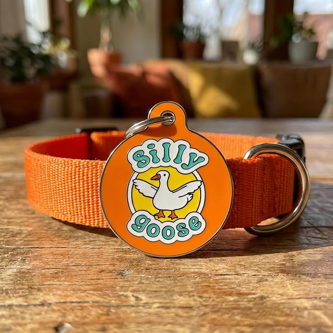 Bad Tags Personalized Dog and Cat ID Tags in 25+ Designs and 2 Sizes - 5 Lines of Custom Engraved Text - Funny Cute Personalized Pet Tags (Silly Goose, Large (1.25 inch))