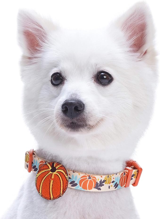 Blueberry Pet 8 Patterns Thanksgiving Fall Harvest Festival Pumpkin Designer Adjustable Dog Collar with Decoration, Large, Neck 18"-26"