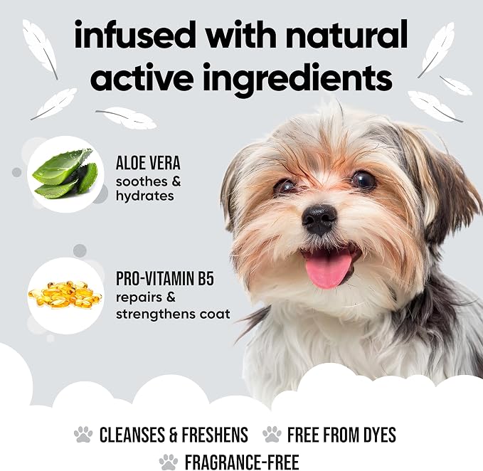 Buddycare Derma Sensitive Dog Shampoo with Aloe Vera and Pro Vitamin B5 (169.07oz)