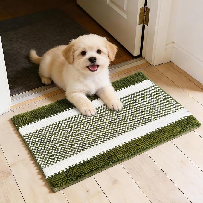 Dog Door Mat for Muddy Paws - Absorbent Quick-Dry Non-Slip Washable Chenille Pet Rug, Indoor Entryway Mat for Front Door & Crate (Green White, 24" L*16" W)