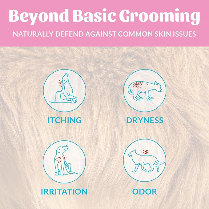 SKOUT'S HONOR Probiotic Puppy Shampoo and Conditioner - Happy Puppy, 16 oz | Natural 2-in-1 for Puppies and Dogs, Microbiome-Friendly with Avocado Oil & Omega-3s, Paraben & Sulfate-Free