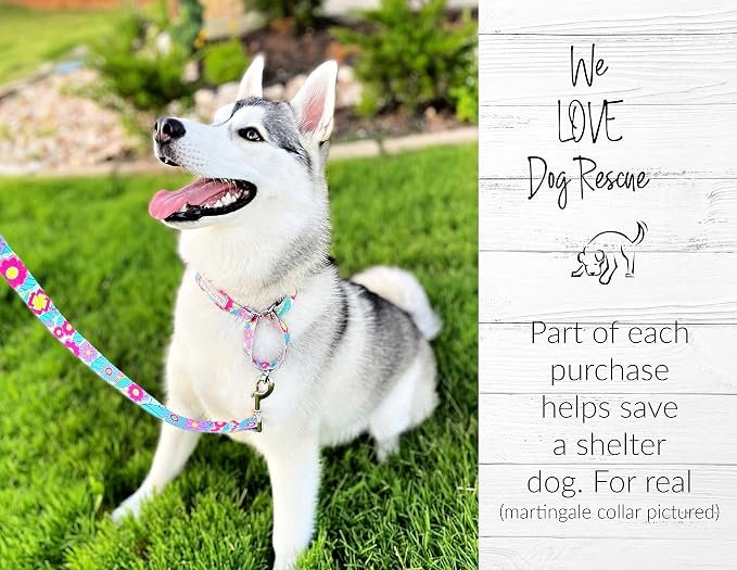 Lucky Love Dog - Adjustable Dog Collar with Easy Click Buckle for Large Ones, Durable, & Comfortable for Male & Female Dogs, Pet Collar for Puppies & Adult Dogs - Caroline, XL