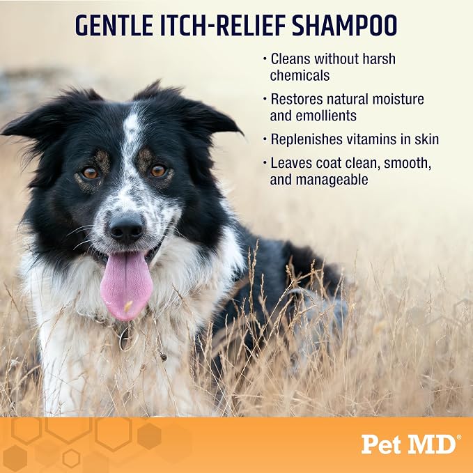 Pet MD Oatmeal & Aloe Shampoo for Dogs & Cats - Itchy Skin Support - 16oz | Soap-Free & Alcohol-Free Formula – Cleans Skin & Coat While Helping Maintain Natural Moisture