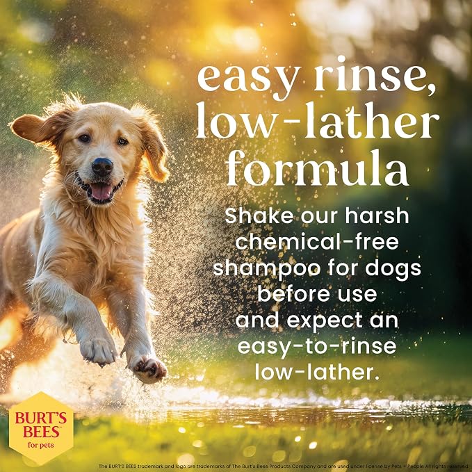 Burts Bees for Pets Oatmeal Dog Shampoo with Honey, 16 Fl Oz, 2-Pack | Soothing colloidal oat flour formula for itchy, sensitive dog skin, pH-balanced and sulfate-free for regular use