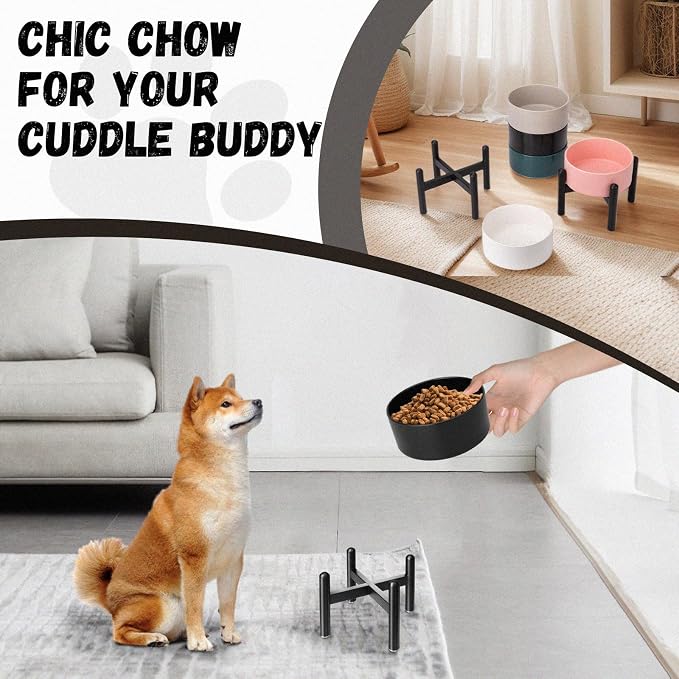 Raised Ceramic Dog Bowl, 6.1'' Modern Feeding Bowl with Non-Slip Stainless Steel Stand, Elevated Food or Water Dish for Small to Medium Dogs, 2 Cups (28.75 fl oz)- Black