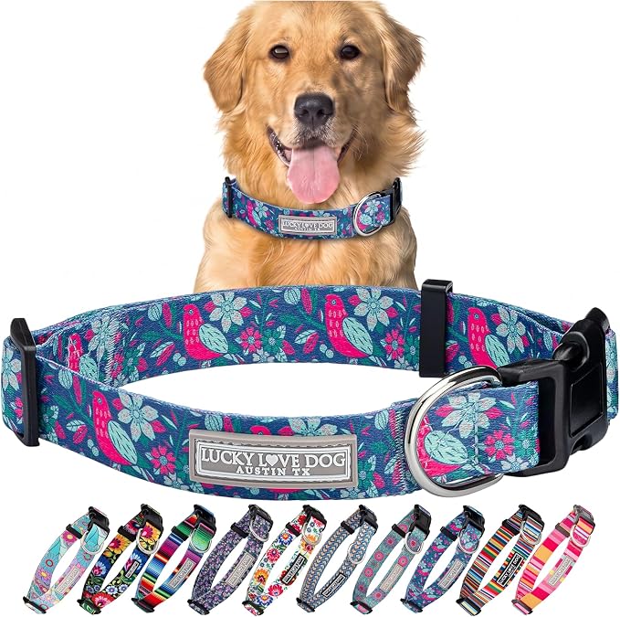 Lucky Love Dog - Adjustable Dog Collar with Easy Click Buckle for Large Dogs, Durable, & Comfortable for Male & Female Dogs, Pet Collar for Puppies & Adult Ones - Carriebelle, Large