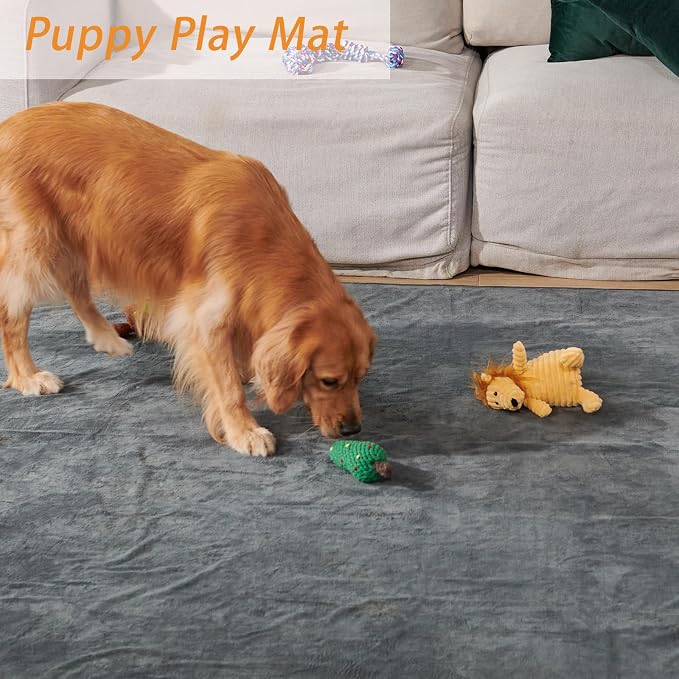 Washable Dog Pee Pads 36x72 2Pack Reusable Whelping Pads, Absorb Dog Mats Non-Slip Puppy Training Pads for Whelping, Potty, Training, Playpen, Crate | Absorbent, Non-Slip Dog Mats, Puppy Pads for Training, Potty,Crate, Senior Dog Incontinence, Housebre...