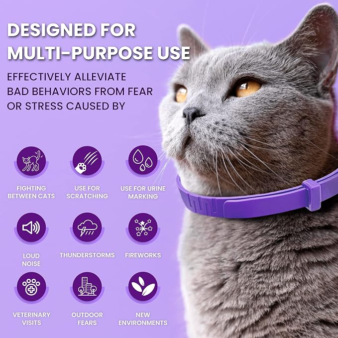Pheromone Calming Collar for Cats: Breakaway Cat Calming Collar for Anxiety, Separation Stress, Multicat Aggression, Spraying, Meowing - for Indoor Use, Moving & Travel, 4 Pack (Purple)