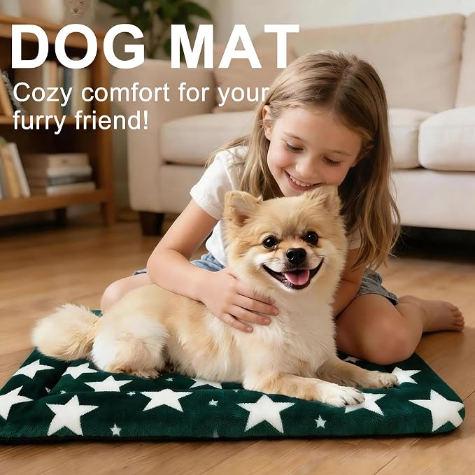 Dog Bed Mat – Soft & Comfortable Dog Kennel Pad for Crate – Durable Crate Bed & Mat for Dogs & Cats – Ideal for Crate, Kennel, and Home Use (Big&Little Stars Green, S(24"*18"*1.5"))