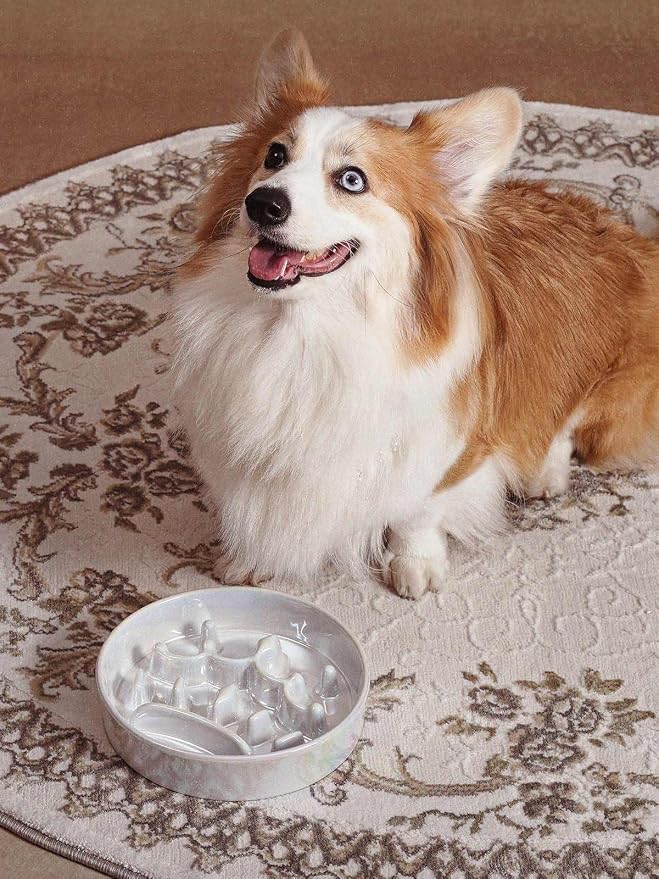 LE TAUCI Dog Bowls Slow Feeder Ceramic, 1.5 Cup Slow Feeding Bowl for Small and Medium Breed, Puzzle Dog Food Bowl for Fast Eater, Crown Silver