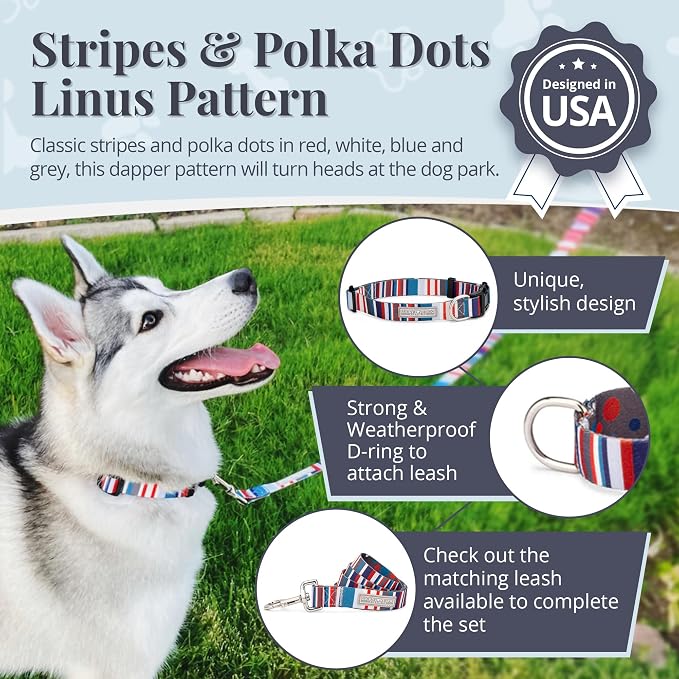 Lucky Love Dog - Adjustable Dog Collar with Easy Click Buckle for Small Dogs, Durable, & Comfortable for Male & Female Dogs, Pet Collar for Puppies & Adult Ones - Linus, XS