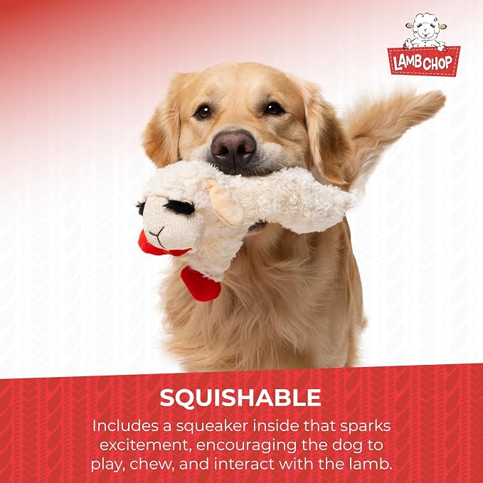 Multipet Lamb Chop Dog Plush Toy - Squeaky Toy for Small & Medium Dogs - Extra Soft Plush - Stuffed Animal for Cuddling & Playing (10", Cream, 5 Squeakers) (Pack of 2)