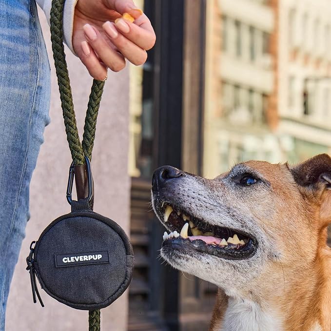 Snackpack Double Insulated Dog Treat Pouch – 1.5 Cup Capacity, 2 BPA-Free Waterproof Zipper Pockets, Carabiner for Belt/Leash – Compact Training & Travel Bag – Graphite