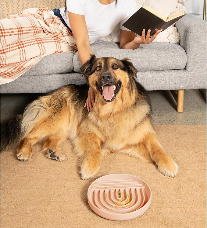 Should We Go? Slow Feeder Dog Bowls - Large Size Silicone Slow Eating Dog Bowl for Puppies & Dogs with Suction Cup -Dishwasher-Safe, Lick Mat Design, Reduces Gulping,for All Breeds,9.5”x1.5”- Blush