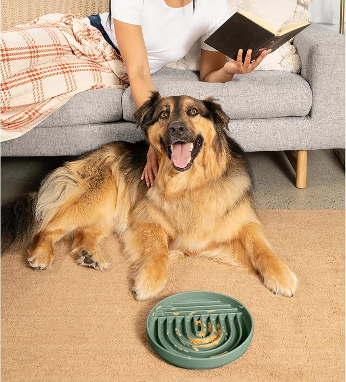 Should We Go? Slow Feeder Dog Bowls - Large Size Silicone Slow Eating Dog Bowl for Puppies & Dogs with Suction Cup -Dishwasher-Safe, Lick Mat Design, Reduces Gulping,for All Breeds,9.5”x1.5”- Spruce