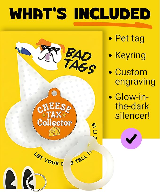 Bad Tags Personalized Dog and Cat ID Tags in 25+ Designs and 2 Sizes - 5 Lines of Custom Engraved Text - Funny Cute Personalized Pet Tags (Cheese Tax Collector, Large (1.25 inch))