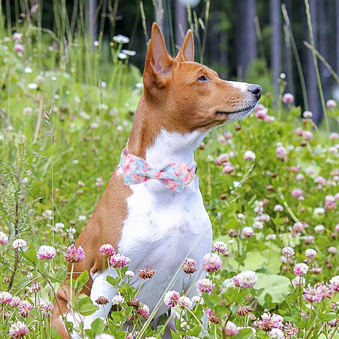 ·MR. CHUBBYFACE· Ink Style Flower Dog Collar with Bow Cute Brown Puppy Collar Bowtie Spring Girl Boy Dog Collars for Small Medium Large Dogs