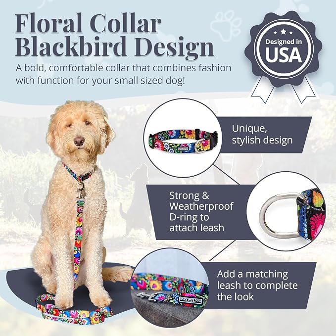 Lucky Love Dog - Adjustable Dog Collar with Easy Click Buckle for Small Dogs, Durable, & Comfortable for Male & Female Dogs, Pet Collar for Puppies & Adult Dogs - Blackbird, Small
