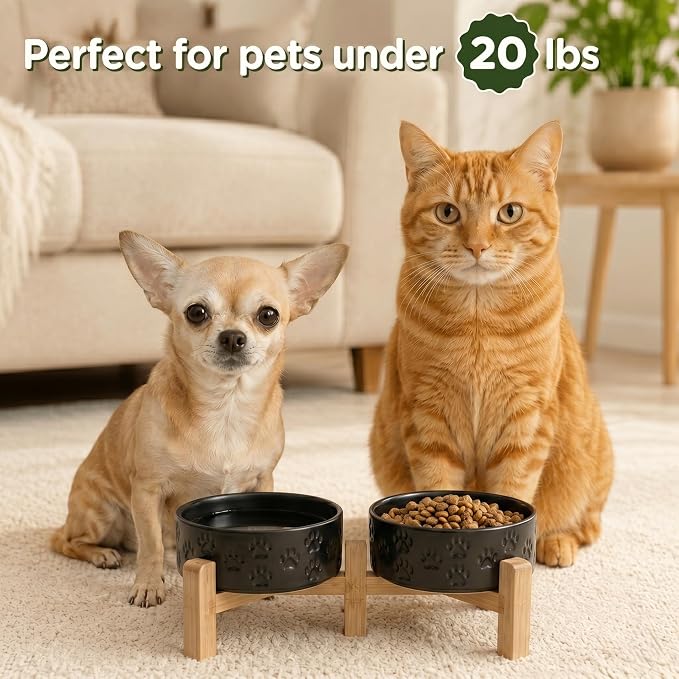 SPUNKYJUNKY Elevated Dog Bowls Ceramic, 5.1'' Dogs and Cat Food Water Bowls Raised with Non-Slip Bamboo Stand for Puppy Small Sized Breed Microwave Dishwasher Safe - 13.5 OZ,Paw Black