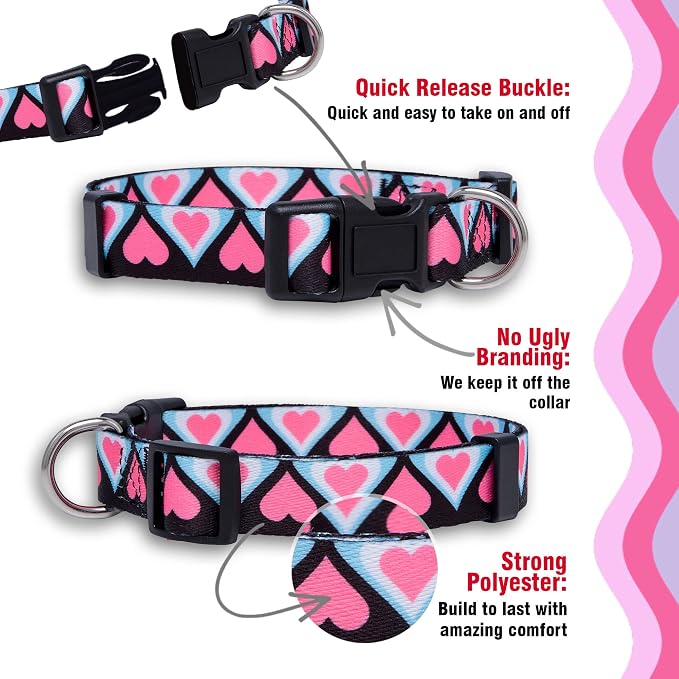 Native Pup Valentine’s Dog Collar- Valentines Day Pet Collars- Valentine Girly Hearts- Pink Red Heart- Cute Boy Girl Puppy Gift- Adjustable for Small, Medium, Large Breeds (Blue & Pink Hearts, Large)