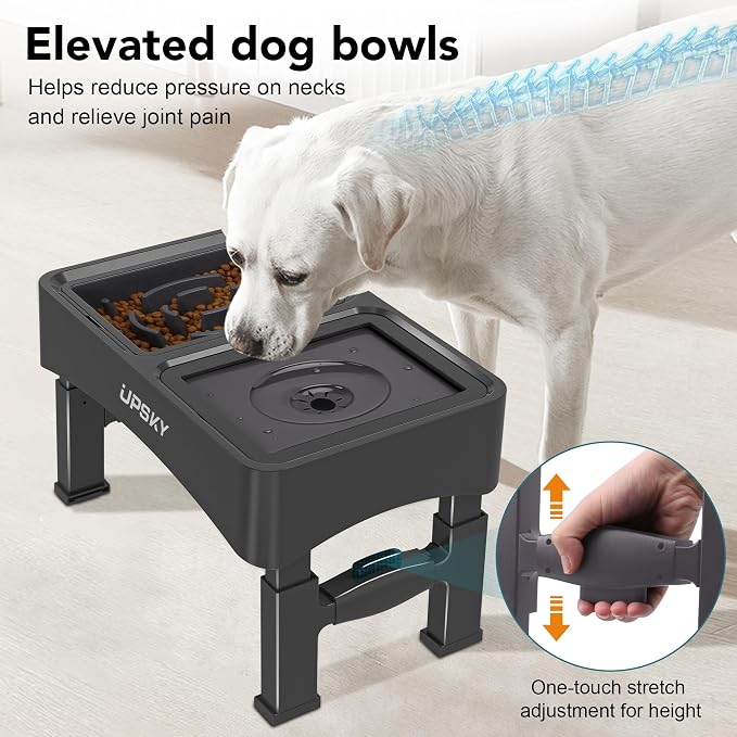 UPSKY 2-in-1 Elevated Dog Bowls Set with 4 Height Adjustable Stand, Balck | No Spill Water Bowl, Slow Food Bowl, No-Splash, Anti-Slip, Dishwasher Safe, Folding Design, Suitable for Small Medium Dogs