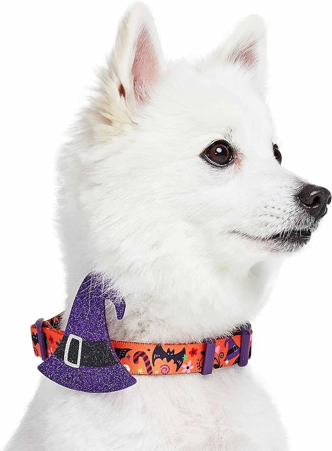Blueberry Pet Halloween Witch Hat Adjustable Dog Collar with Detachable Glitter Accessory, Large, Neck 18"-26"