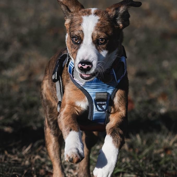 Embark Adventure Medium Dog Harness – No-Pull, Reflective Trim, Military-Grade Nylon, Front Clip with Gel-Lined Handle