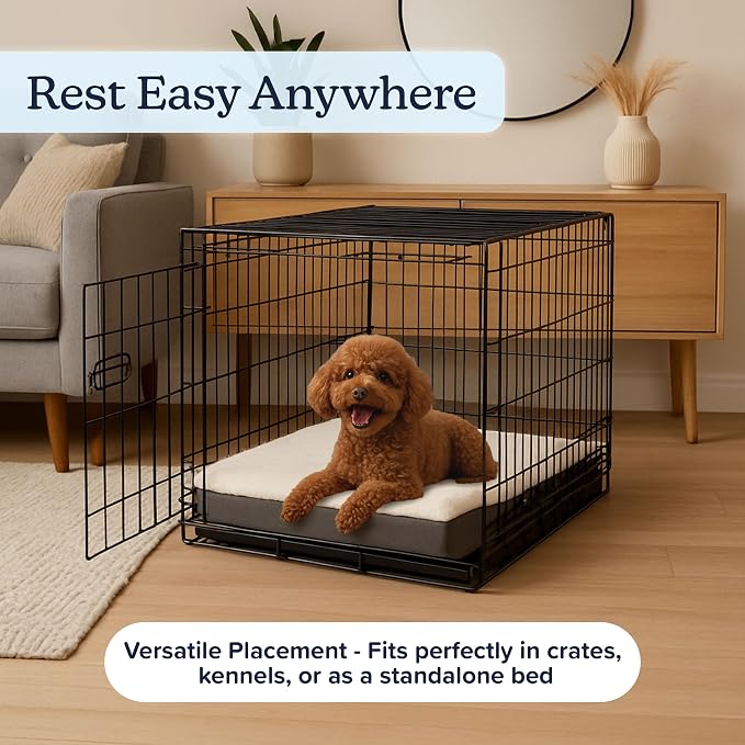 Orthopedic Dog Bed - 2-Layer Memory Foam Crate Mat with Machine Washable Sherpa Cover - 20x15 Pet Bed for Small Dogs Up to 20lbs by PETMAKER (Gray)