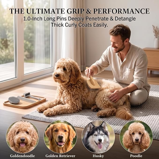 Slicker Brush for Dogs, Professional Dog Grooming Brush Kit 4PCS | Doodles Brush for Goldendoodles Poodles, Long Pin Haired Brush, Easy to Daily Detangling to Prevent Matting