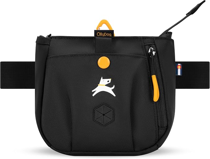 Backcountry Day Bag | Hands-Free Dog Training Treat Pouch | Fanny/Hip Pack with Zipper Closure & Built-in Poop Bag Dispenser | Removable Waist Clip (Raven S'25)