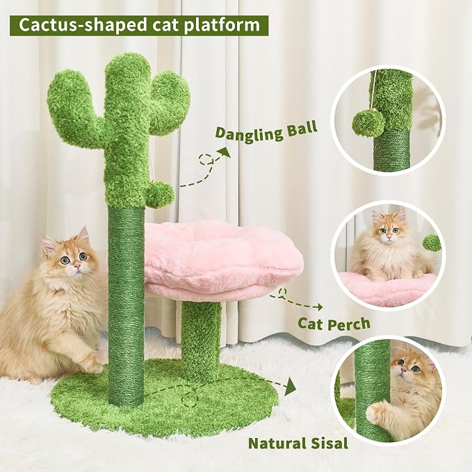 Cat Scratching Post, Cat Scratcher Kitten Scratch Post，Sisal Rope for Indoor Cats, Claw Scratcher for Indoor Cats and Kittens (Cactus)